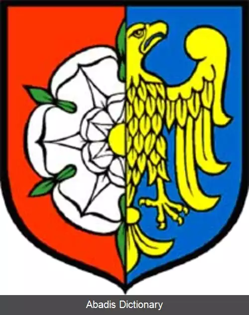 عکس دوبرودزین