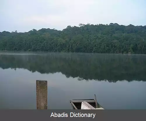 عکس استان فرانز تامایو