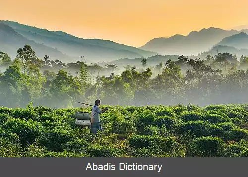 عکس استان سلهت