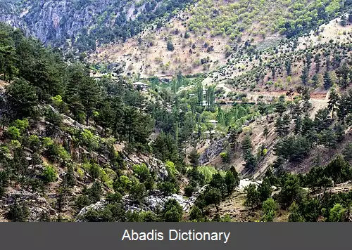 عکس دغیرمن جی اوشاغی (صائم بی لی)