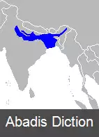 عکس کوسه گنگی
