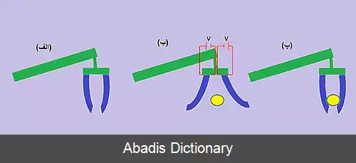 عکس پلیمر الکترواکتیو