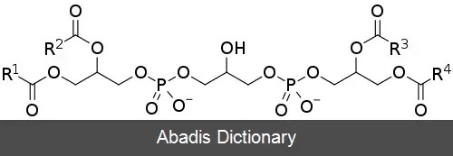 عکس کاردیولیپین