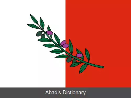 عکس ربات مالت
