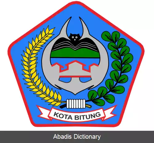 عکس بیتونگ
