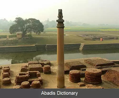 عکس استامبهه