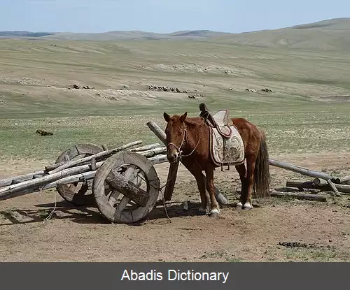 عکس آرخوست