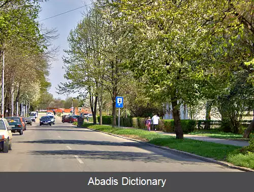 عکس زمون پولجه