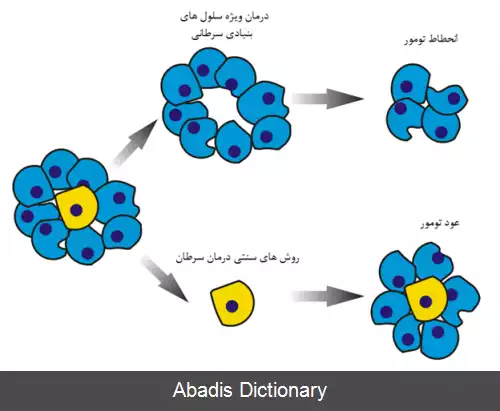 عکس سلول بنیادی سرطان