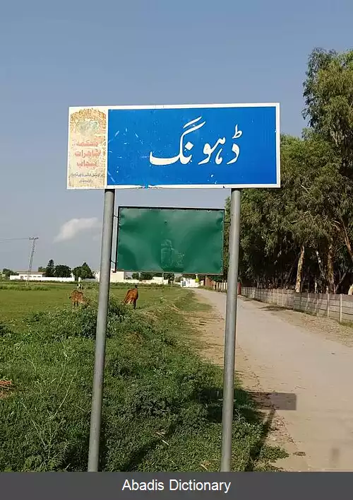 عکس دهونگ