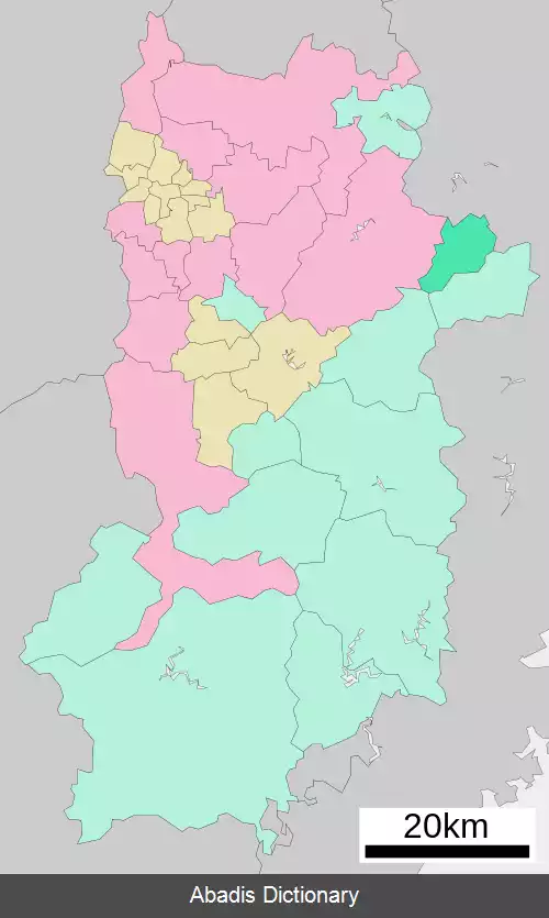 عکس سونی نارا
