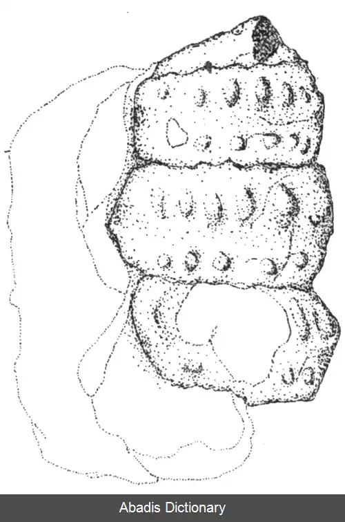 عکس سنگی برج