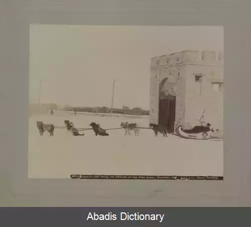 عکس فورت گری