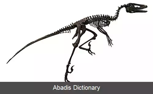 عکس داکوتاشکاری