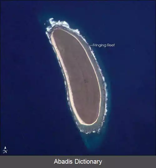 عکس جزیره مرجانی