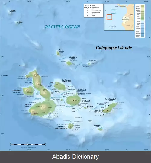 عکس فهرست پرندگان بوم زاد جزایر گالاپاگوس