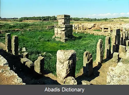عکس عمریت
