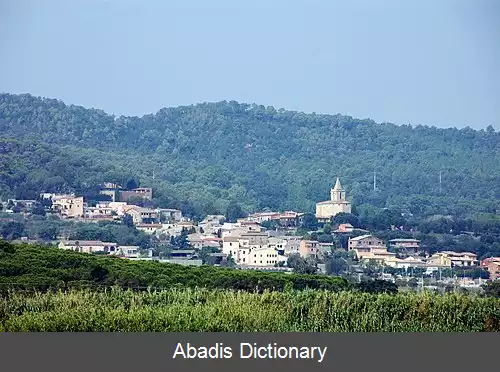 عکس منت راس