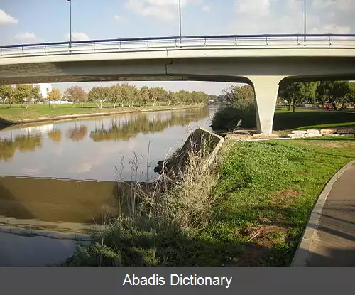 عکس خیابان ابن گبیرول