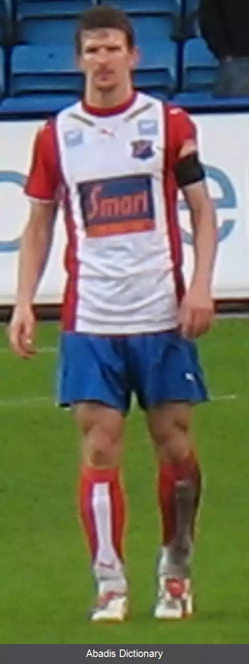 عکس استیون لوستو