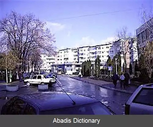 عکس درگشنه