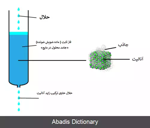 عکس شویش