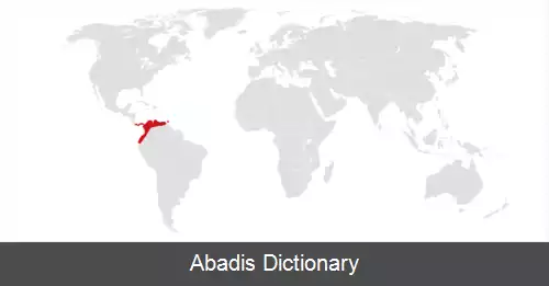 عکس سنجاب دم سرخ