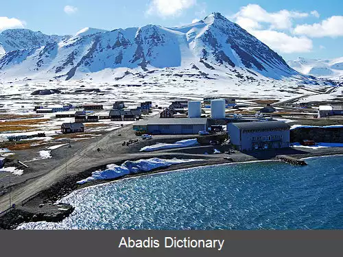 عکس نیواولسن