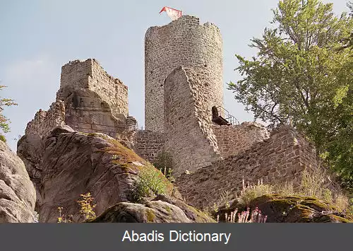 عکس فریدشتین