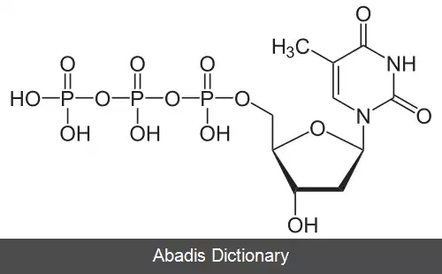 عکس تیمیدین تری فسفات