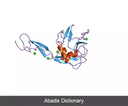 عکس ئی سلکتین