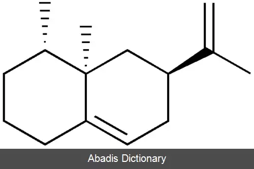 عکس آریستولوچن