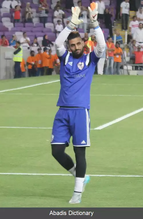 عکس احمد الشناوی