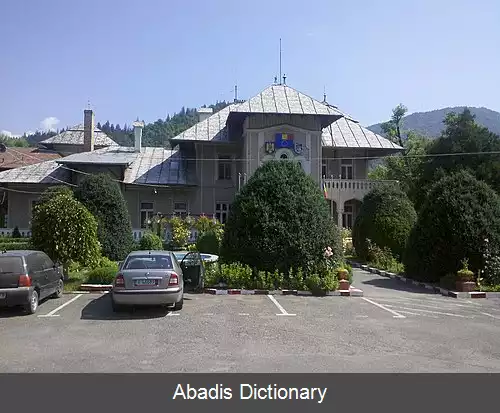 عکس بیکاز