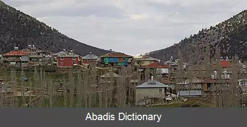 عکس بی پیناری (صائم بی لی)