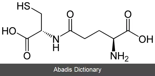 عکس گاما گلوتامیل سیستئین