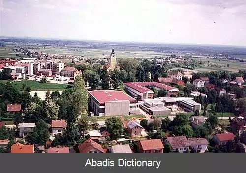 عکس وربوتس