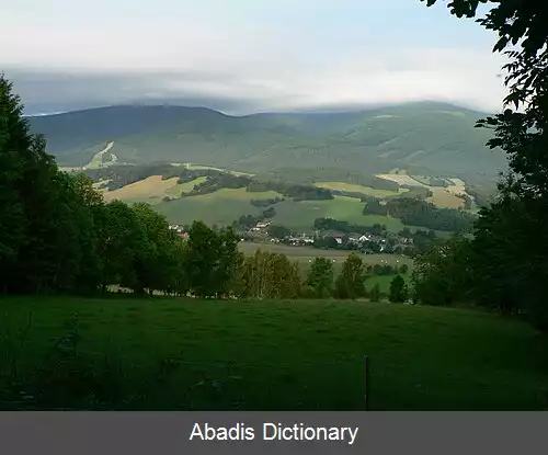عکس بیلا پود پرادیدم