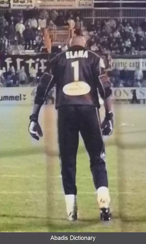 عکس استیو النا