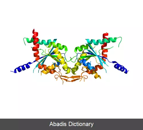 عکس سپتین ۲