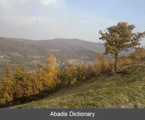 عکس روشتسی