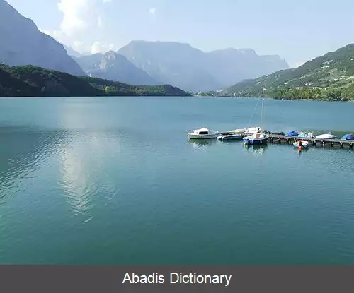 عکس کاودینه