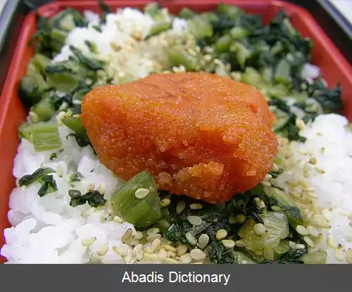 عکس منتایکو