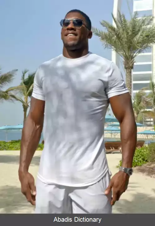 عکس فهرست قهرمانان سنگین وزن بوکس جهان