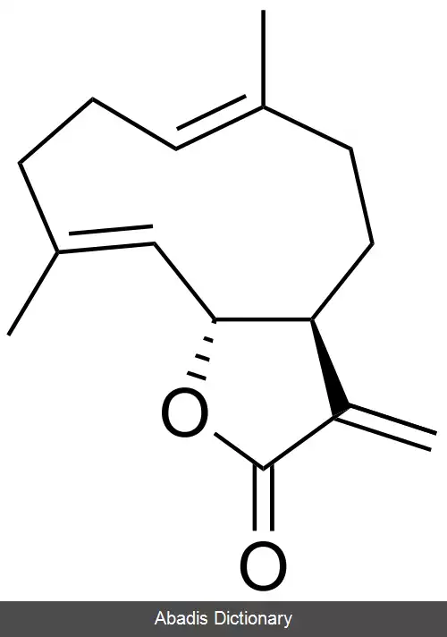عکس کستونولید
