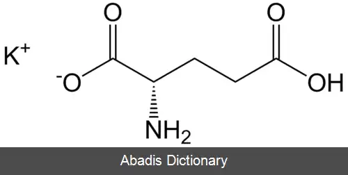 عکس گلوتامات ها