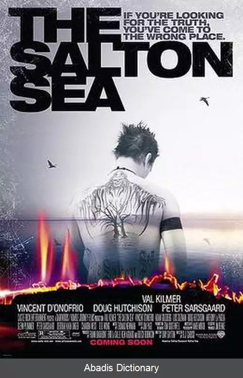 عکس دریای سالتون (فیلم ۲۰۰۲)