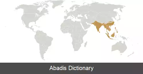 عکس قلمرو هندومالایی