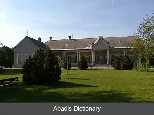 عکس زیچی اوی فالو