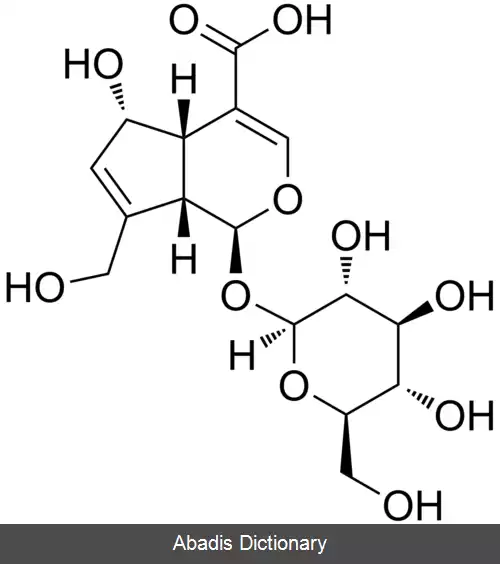 عکس اسید داستیل آسپرولوزیدیک
